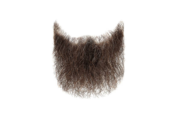istock Brown beard isolated on white. Mens fashion 1206305989