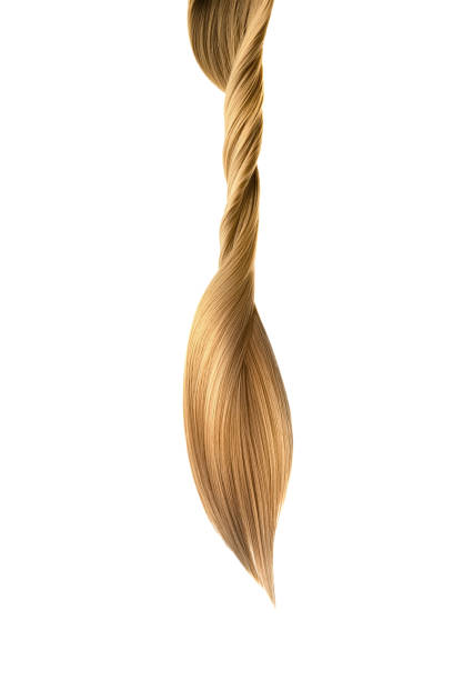 istock Brown hair isolated on white background. Long ponytail 1206306012