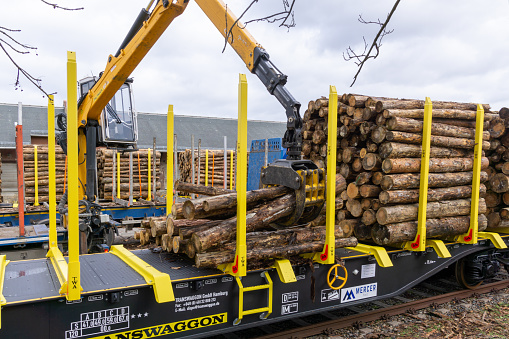 Radeberg, Germany - February 11 2020: Loading of tree trunks onto the Radeberger railway station, from truck to railway wagons