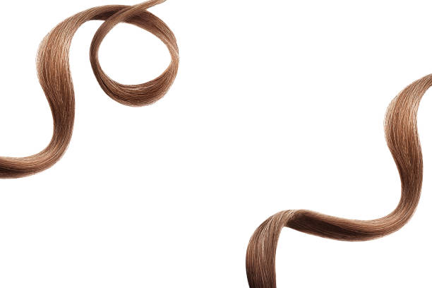 istock Brown hair on white, isolated. Thin curly threads as background 1206306981