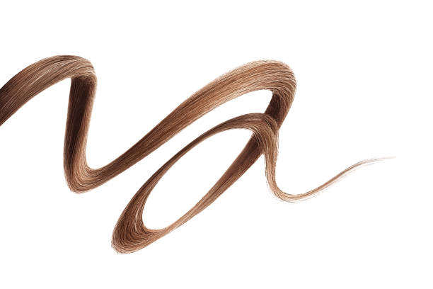 istock Brown hair on white background, isolated. Thin curly thread 1206306990