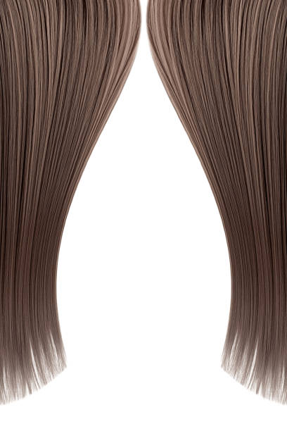 istock Brown hair over white as background (isolated). Copy space 1206306992