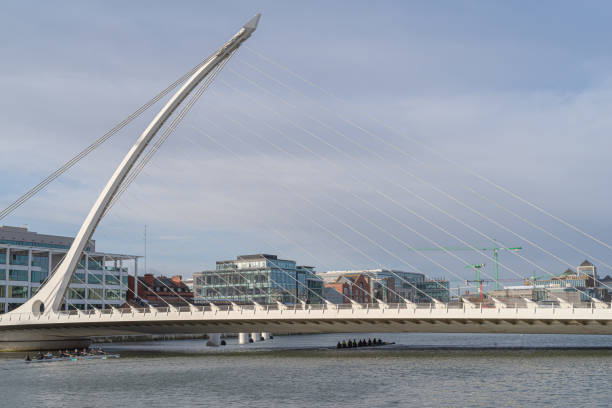 Dublin, Ireland - February 8, 2020: Two teams of rowers rowing upstream along the  River Liffey towards the  Samuel Beckett Bridge (designed by Santiago Calatrava, constructed in  2009) and the office buildings of South Dublin and the Grand Canal.