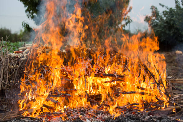 istock close up of bonfire 1206312409