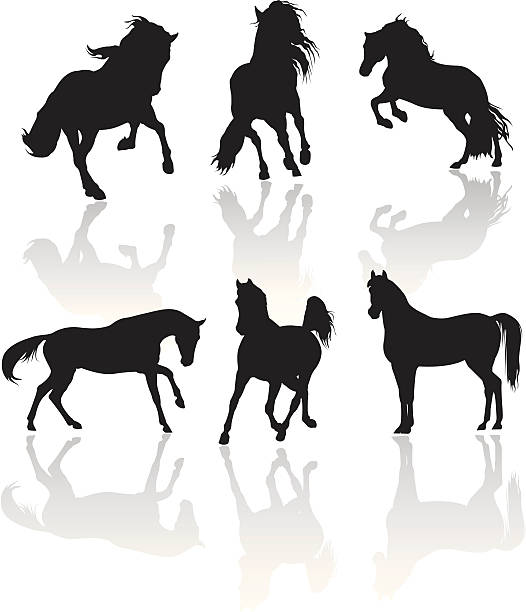 ベクトル馬シルエット - arabian horse点のイラスト素材／クリップアート素材／マンガ素材／アイコン素材