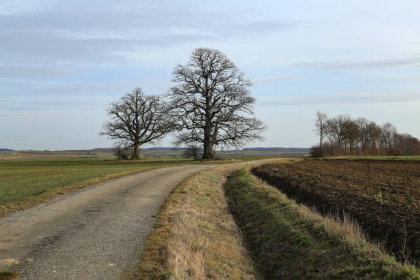istock Winter landscape in central Europe abnormally warm winter 1206321021