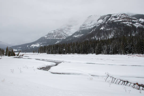 istock Yellowstone Mountains in Winter 1206322304