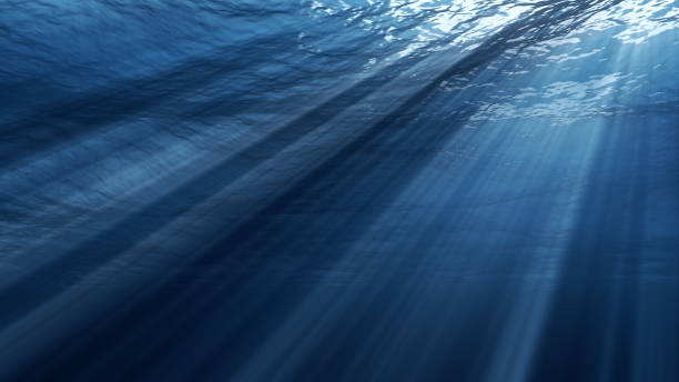 istock Underwater view with sunbeams shining and creating god rays in the deep sea 1206324186