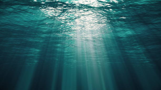 istock Underwater view with sunbeams shining and creating god rays in the deep sea 1206324229