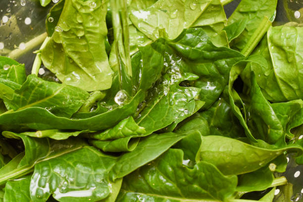 istock Fresh spinach, organic spinach washed with water, a source of nutrition and vitamins for a healthy diet 1206325610