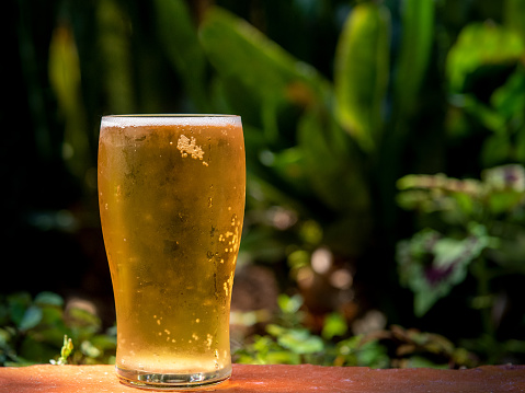 A glass of light yellow beer against a  tropical garden