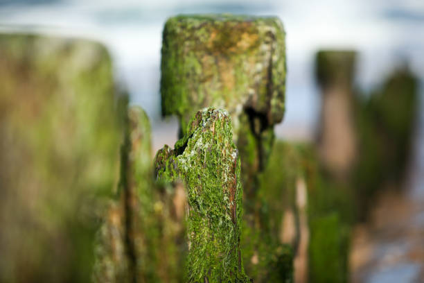 landscapes of Biarritz