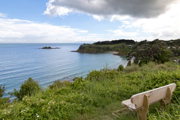 Empty wooden bench, on edge of grassy cliff, facing the ocean in Auckland, Auckland, New Zealand