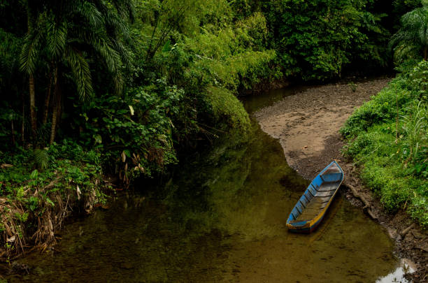blue canoe on a clean river blue canoe on a clean river in Bajo Sabaletas, Valle del Cauca, Colombia valle del cauca stock pictures, royalty-free photos & images