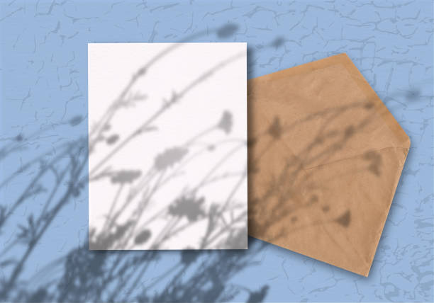 istock Envelope with a sheet of paper on a blue background. Layout with overlay of plant shadows . Natural light casts a shadow from above. 1206334159