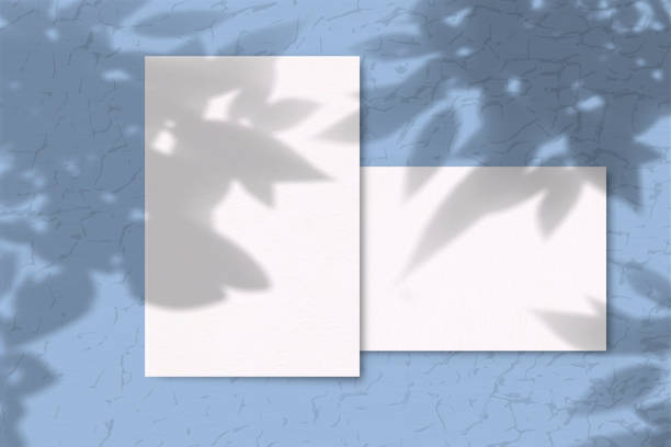 istock 2 Sheets of white texture paper on a blue background. Mockup with overlay of plant shadows . Natural light casts the shadow of field plants and flowers from above 1206334295