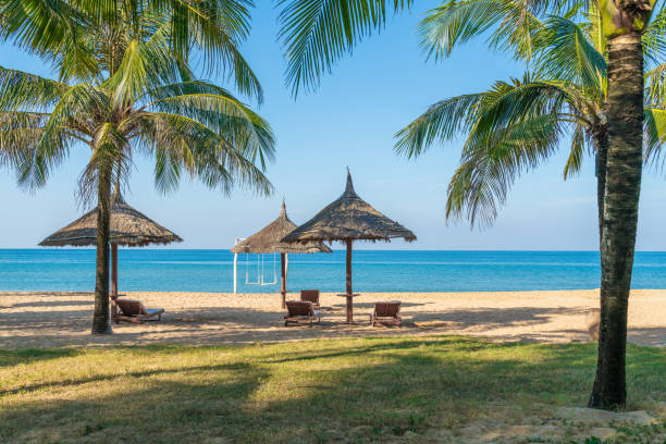 istock Tropical beach with palm tree and leaf umbrellas 1206335595