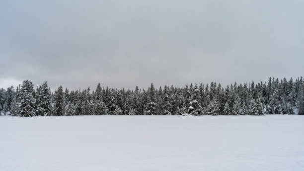 istock Grand Teton Snow 1206338477