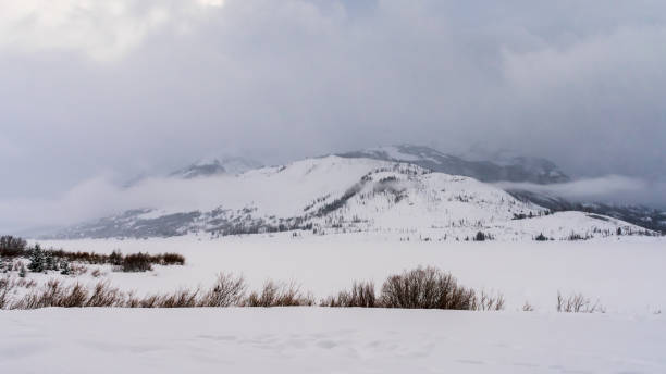 istock Grand Teton Snow 1206338495