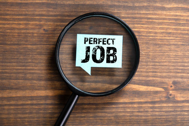 istock Perfect Job. Research, career, opportunity and future concept 1206339275