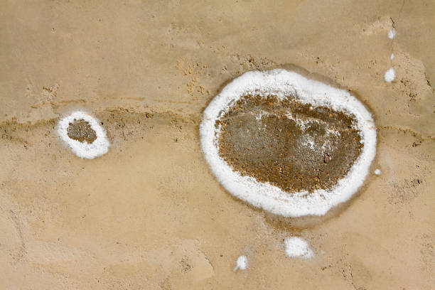 istock white salted texture on cement wall, closeup of photo 1206340879