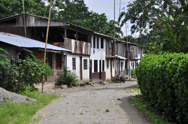 istock Small street in Misahualli 1206341962