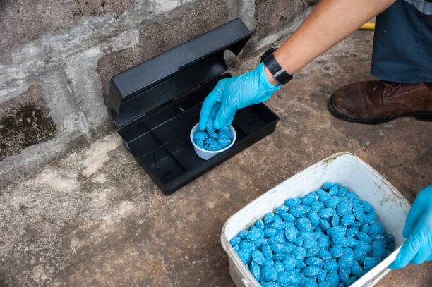 istock Get rid of rat using  bait poison box, pest control in industry. 1206342317