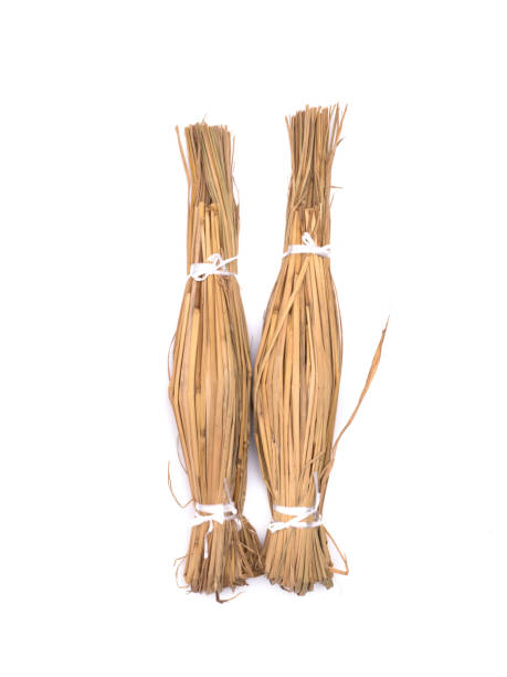 istock Japanese natto wrapped in straw 1206344042