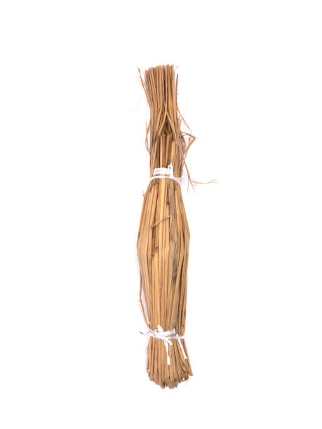 istock Japanese natto wrapped in straw 1206344051