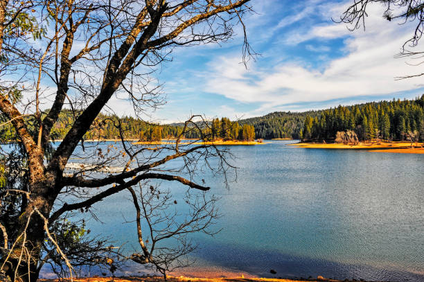 istock Jenkinson Lake with Trees and Sierra Nevada Mountains 1206348812