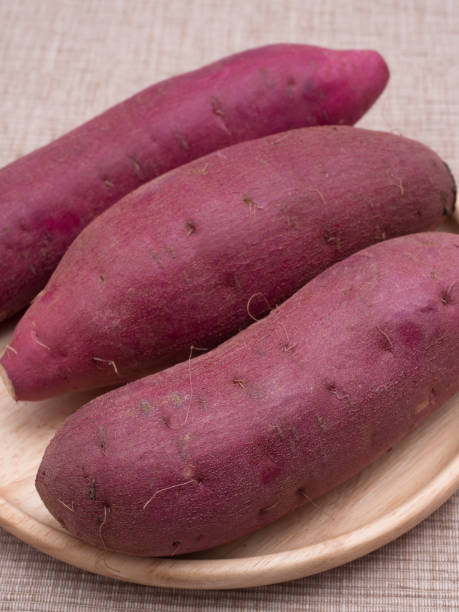 istock Japanese sweet potato named Beniharuka 1206351485