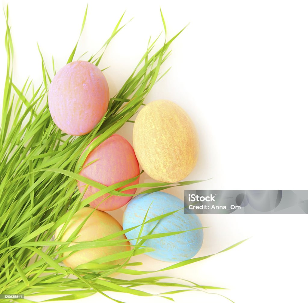 Easter eggs Easter colorful eggs with grass isolated on white background Animal Egg Stock Photo