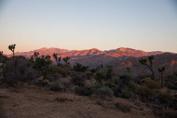 Sunrise in Yucca Valley stock photo