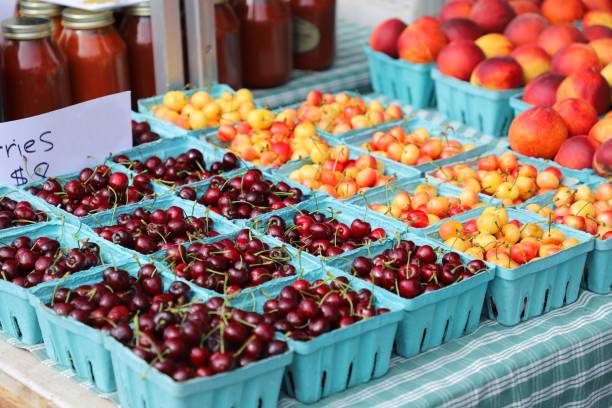 istock Bright Fresh Farmers Market Produce 1206358970