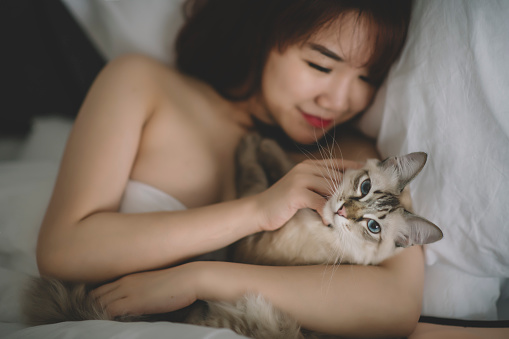 an asian chinese female on bed having bonding time with her cat