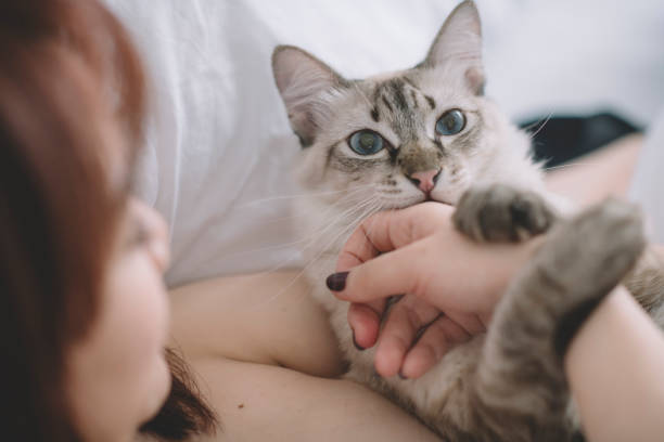 istock an asian chinese female on bed having bonding time with her cat 1206360589