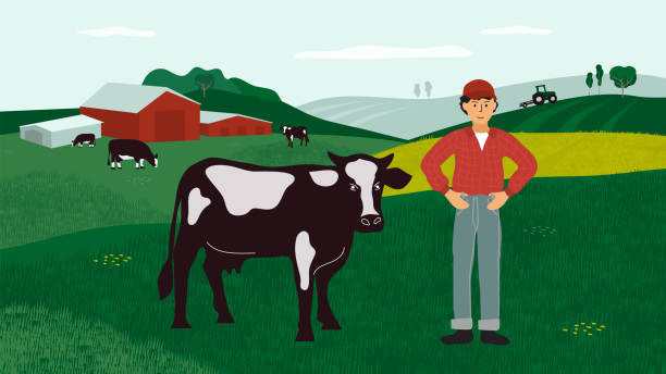 Farming landscape with farmer and cows Agricultural landscape with farmer, cows and tractor on field. Farm land with cattle in pasture. Background for agriculture, farming, livestock or dairy company. Vector illustration for flyer, banner. herd of cows stock illustrations