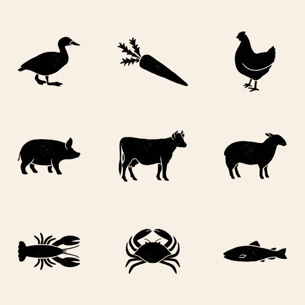 иконки выбора еды - poultry stock illustrations