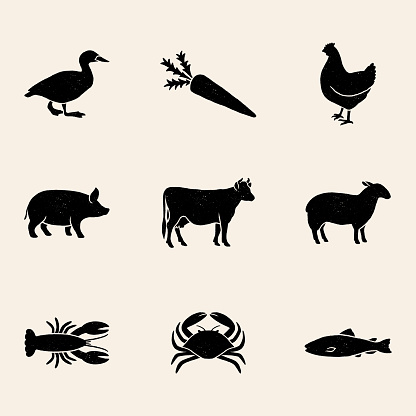 Set of 9 meal choice option icons with a vintage texture. The set includes chicken, beef, pork, lamb, vegetarian, fish, lobster, and crab.