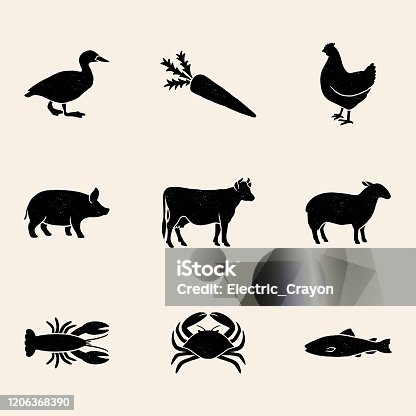 istock Meal Choice Icons 1206368390