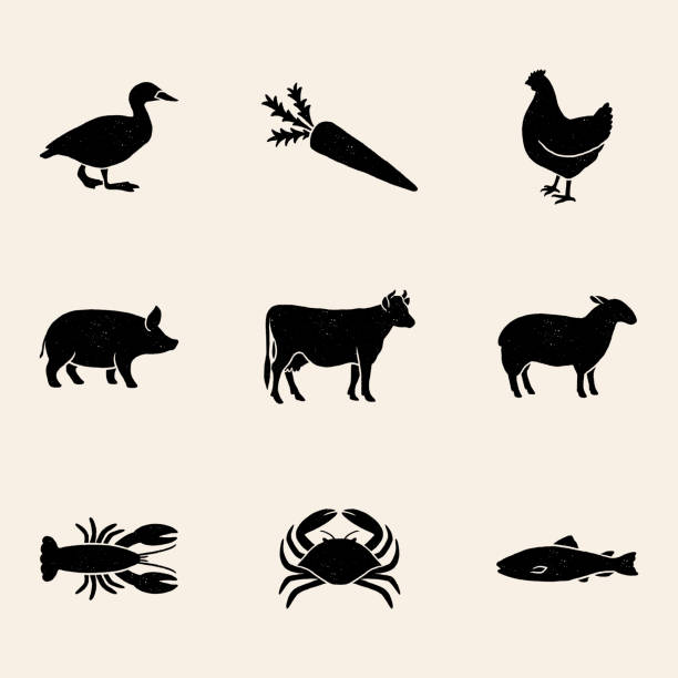 Meal Choice Icons Set of 9 meal choice option icons with a vintage texture. The set includes chicken, beef, pork, lamb, vegetarian, fish, lobster, and crab. vegetarian food stock illustrations