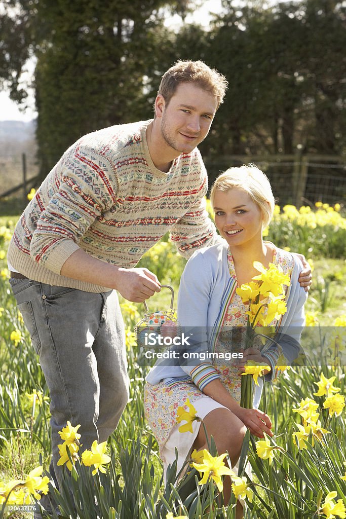 Casal romântico escolher primavera narcisos - Foto de stock de 20 Anos royalty-free