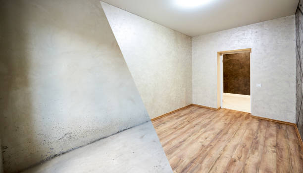 istock Room in apartment before and after renovation works 1206374267