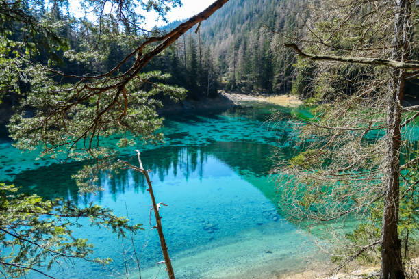 istock Green Lake - A view on the lake through the tree branches 1206376175