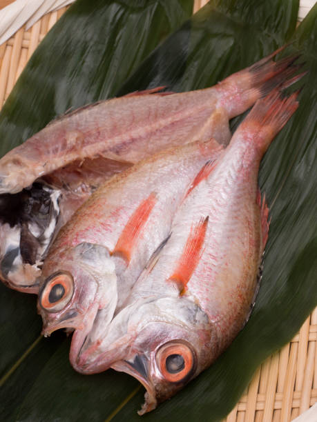 istock Dried fish of Japanese 