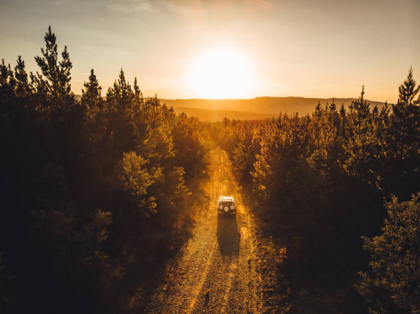 松林の未舗装道路上の四輪駆動。ドローンショット - dirt road ストックフォトと画像