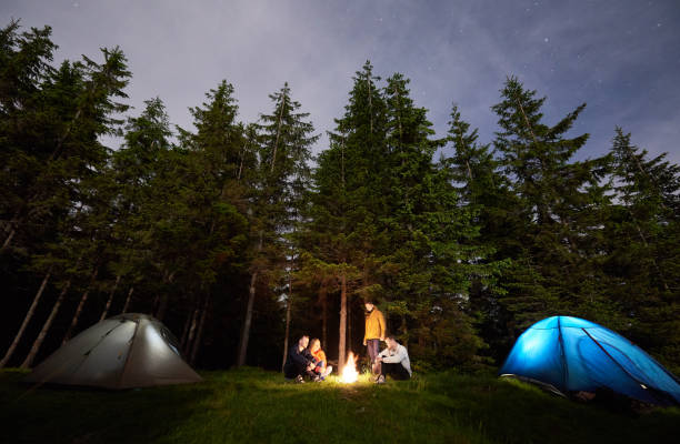 istock Friends around a campfire between tents amid powerful firs under a starry sky. Nightcaping in the forest. 1206377915