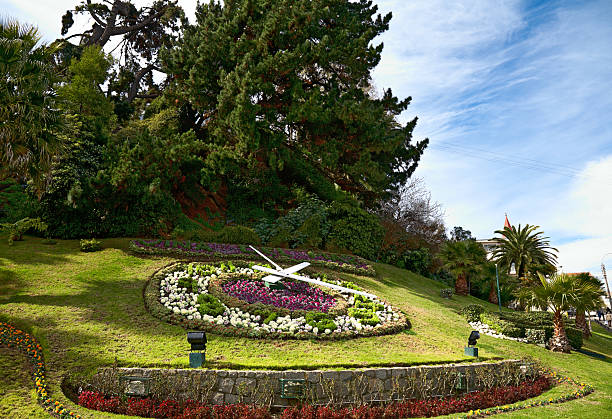 istock large flower clock in Vina del Mar, Chile 120637973