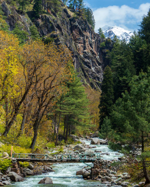 a small wooden bridge crossing a stream in naranag kashmir - indiana autumn woods forest imagens e fotografias de stock