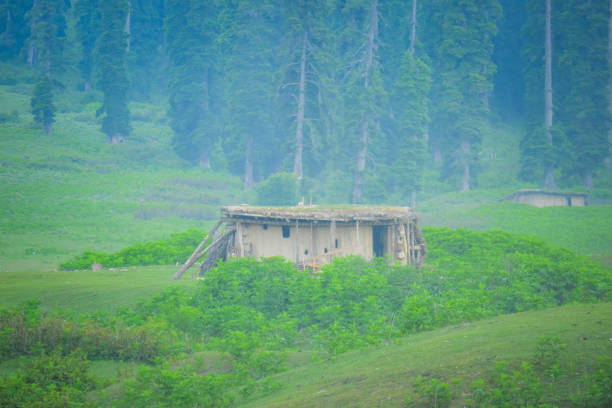 インド、カシミールの霧の密集した松林のグジャル小屋のムーディーな飽和状態の外観 - mountain himalayas india cabin ストックフォトと画像